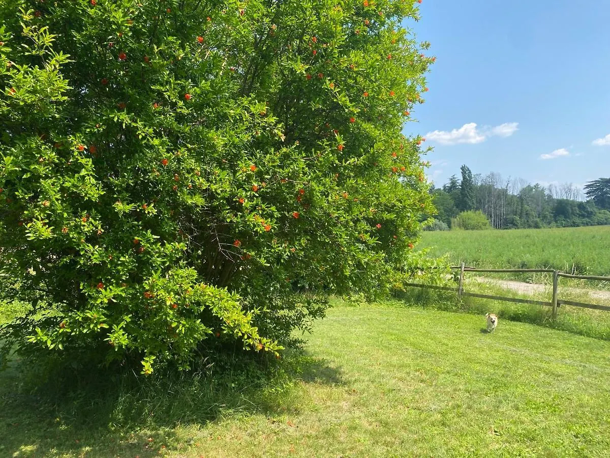 Hotel Al Rustico Bassano del Grappa